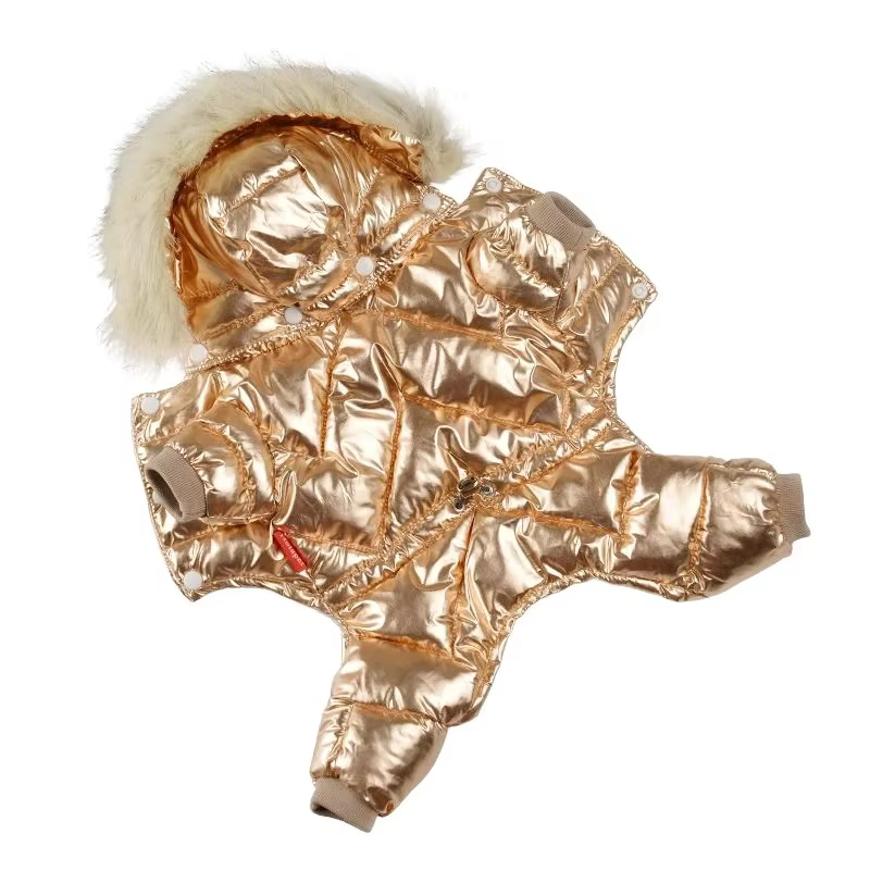 Mascota con chaqueta impermeable