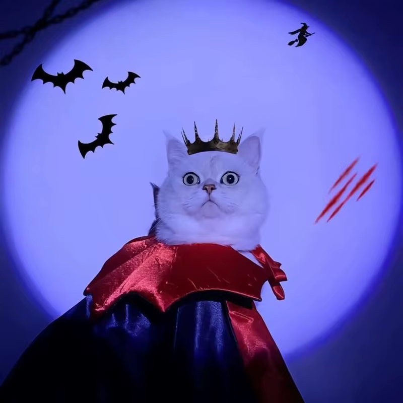 Diseño vampírico para Halloween