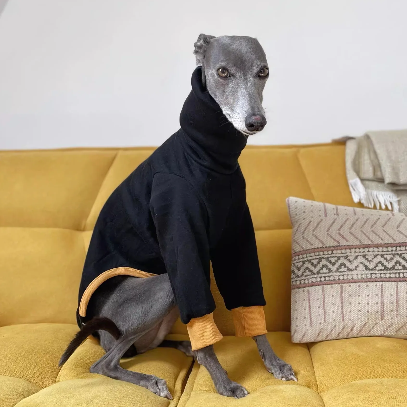 Perro usando el abrigo en posición lateral