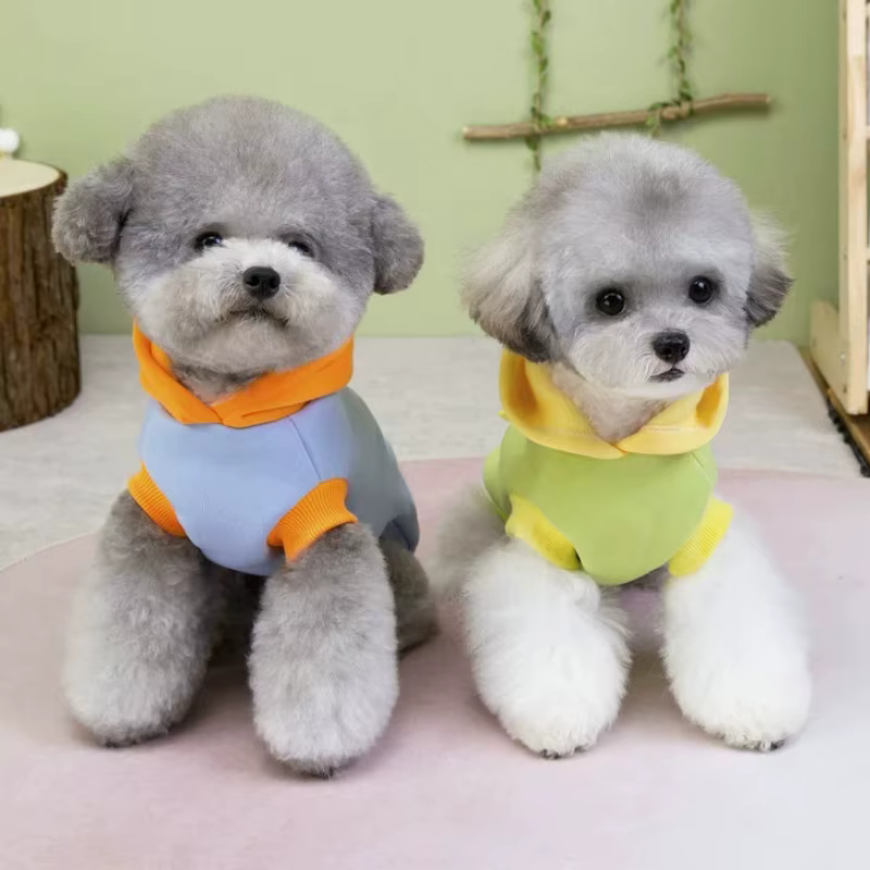 Sudadera con capucha estampada para perros y gatos – Otoño