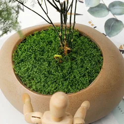 Musgo Artificial para Decoración de Macetas y Terrarios – Pack 20g Verde