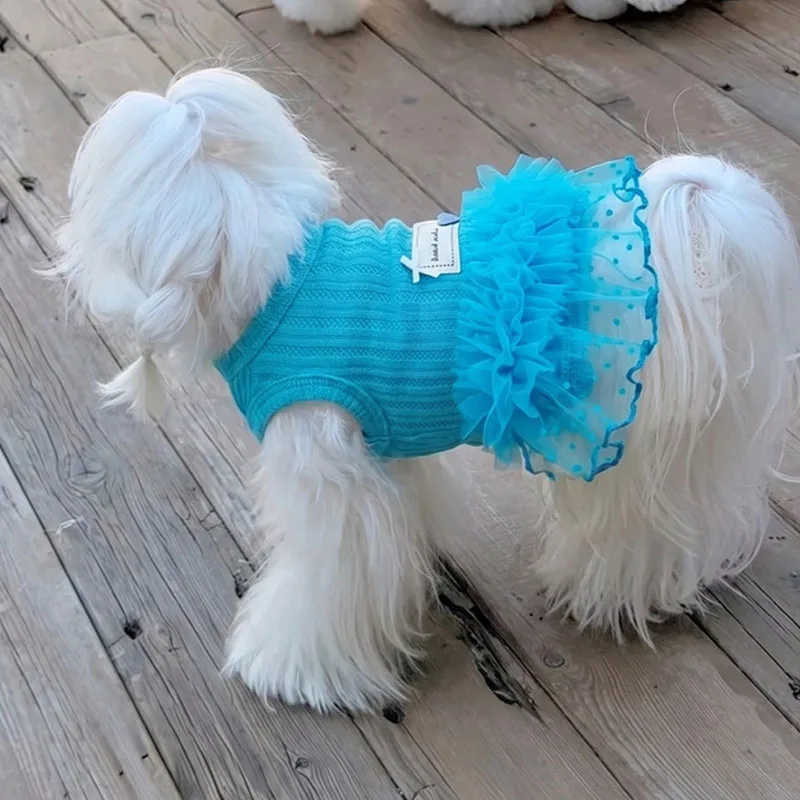 Disfraz sudadera sin mangas azul para gatos y perros, Chihuahua