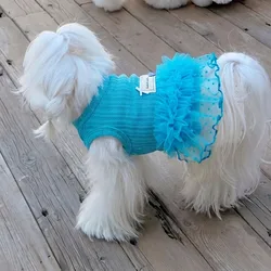 Disfraz sudadera sin mangas azul para gatos y perros, Chihuahua
