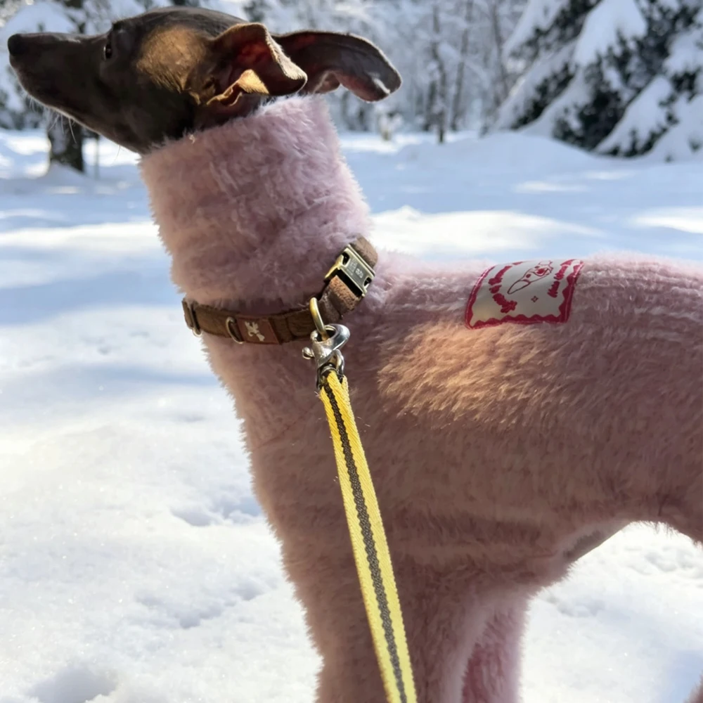 Pijama pelo de visón rosa para galgo italiano y whippet - imagen 4
