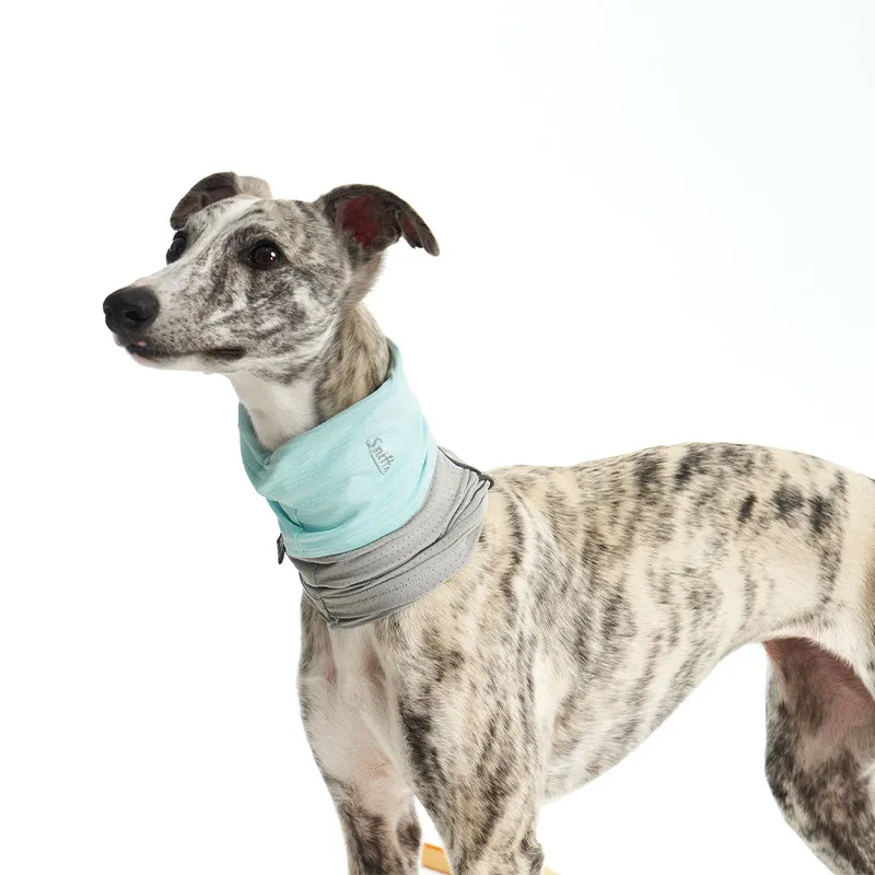 Sombrero ajustable para galgo italiano