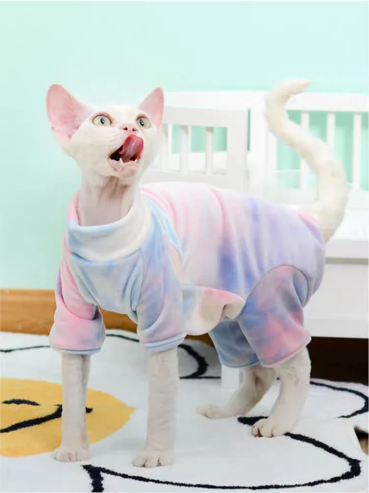 Gato con jersey azul térmico puesto