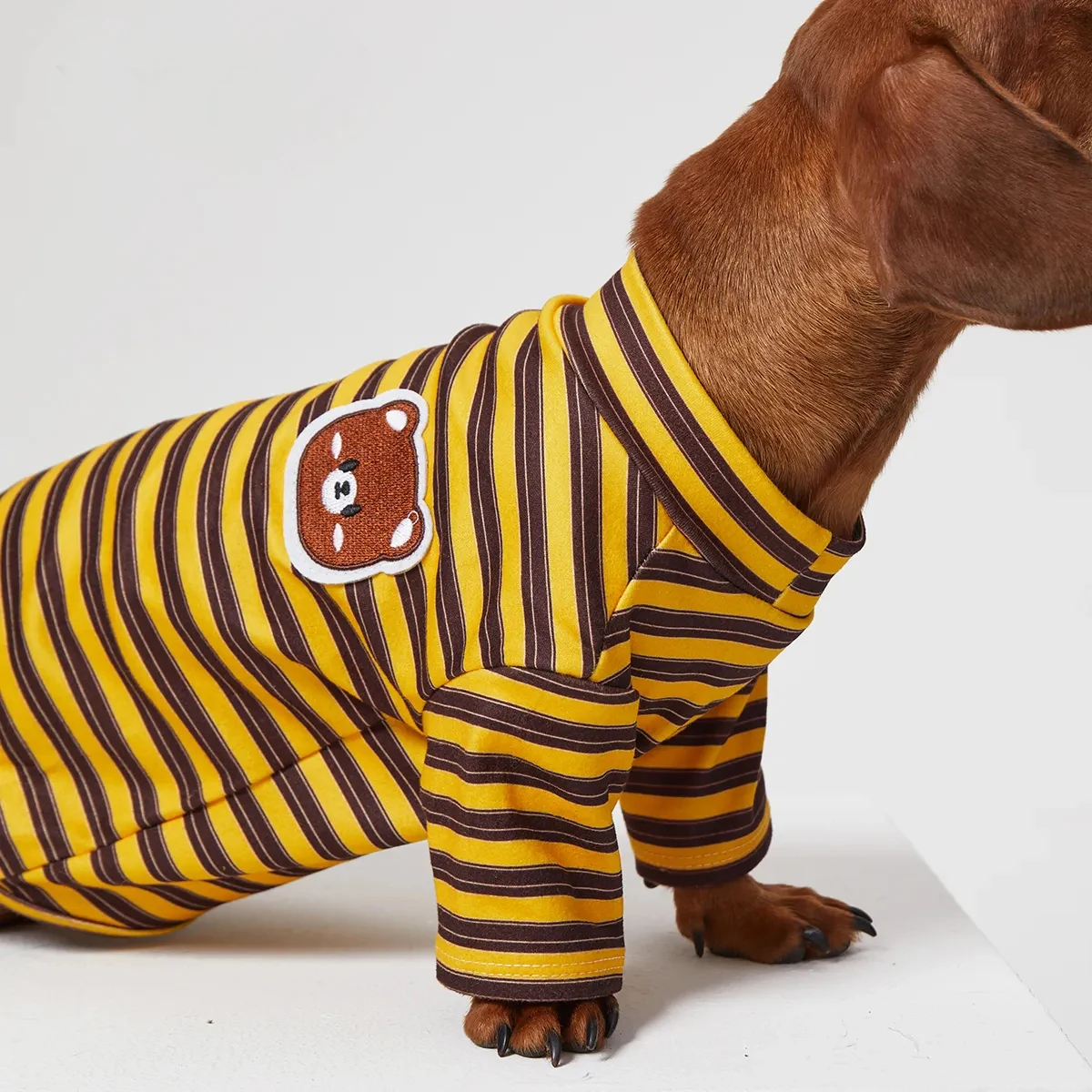 Perro salchicha usando la camiseta térmica