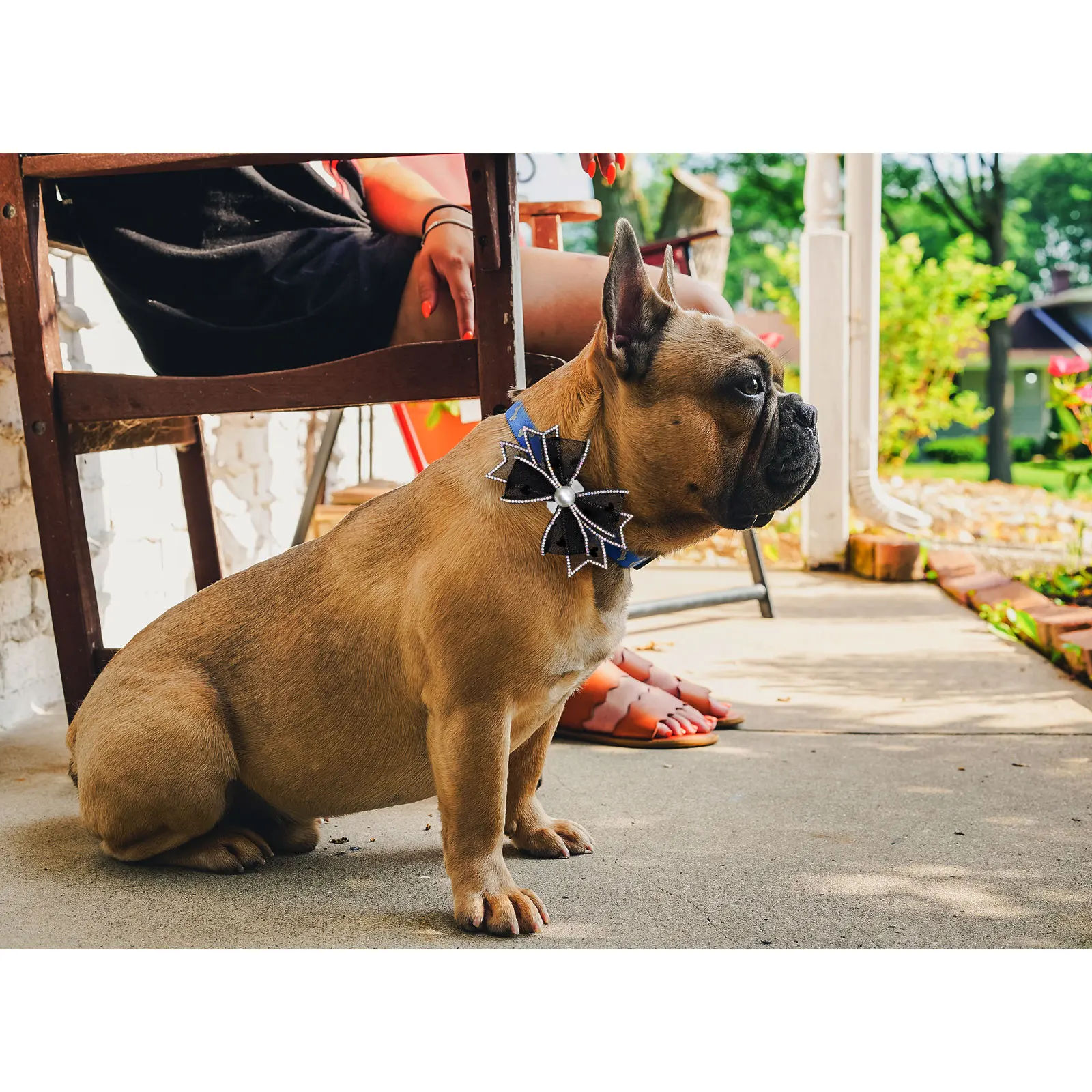 Lazos con pedrería negra y perlas removibles para collar de perro - imagen 4