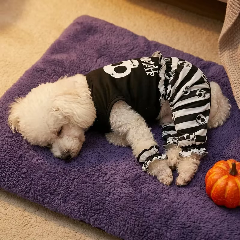 Mono Halloween calavera sin mangas perros pequeños medianos gatos - imagen 4