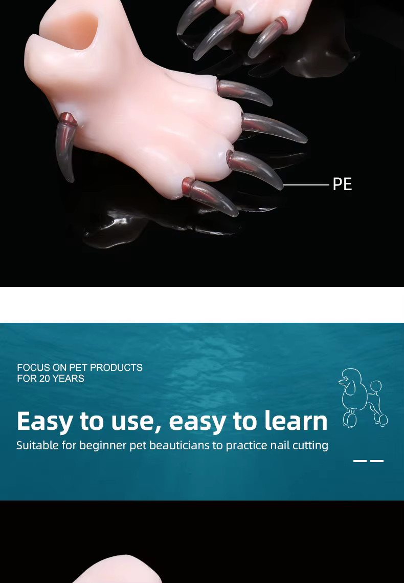 Modelo en entorno de aula práctica