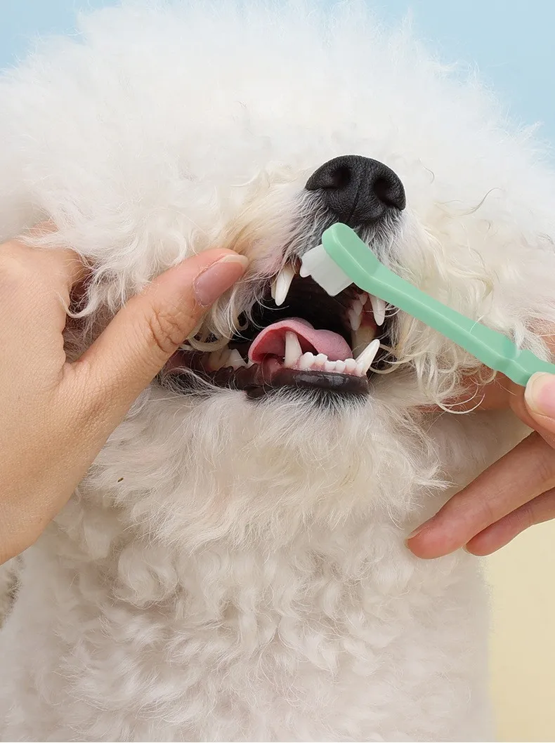 Cepillo dental para mascotas con cerdas suaves y mango ergonómico