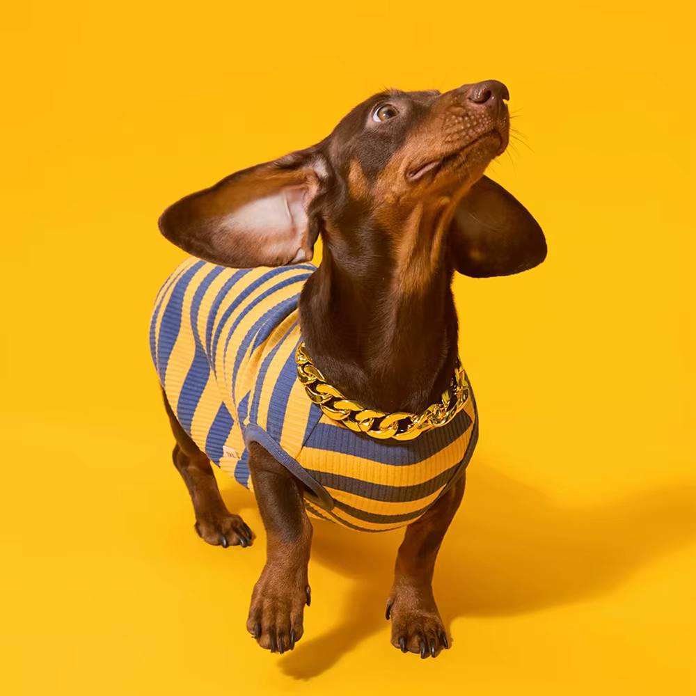 Camiseta a rayas de algodón para perro salchicha, chaleco - imagen 2