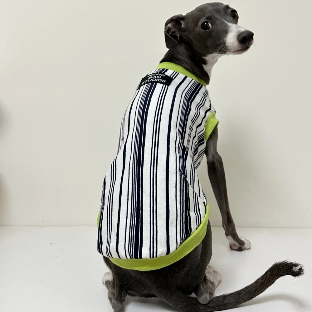 Camiseta rayas verdes de algodón para galgos italianos y whippet - imagen 2