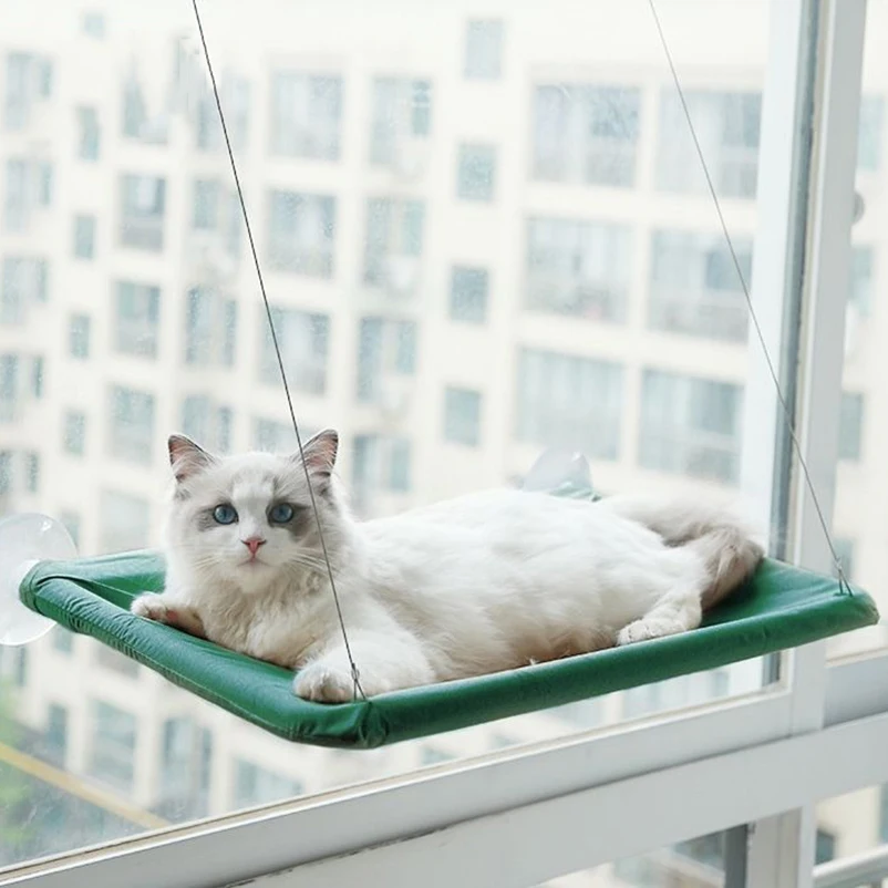 Gato descansando en la hamaca