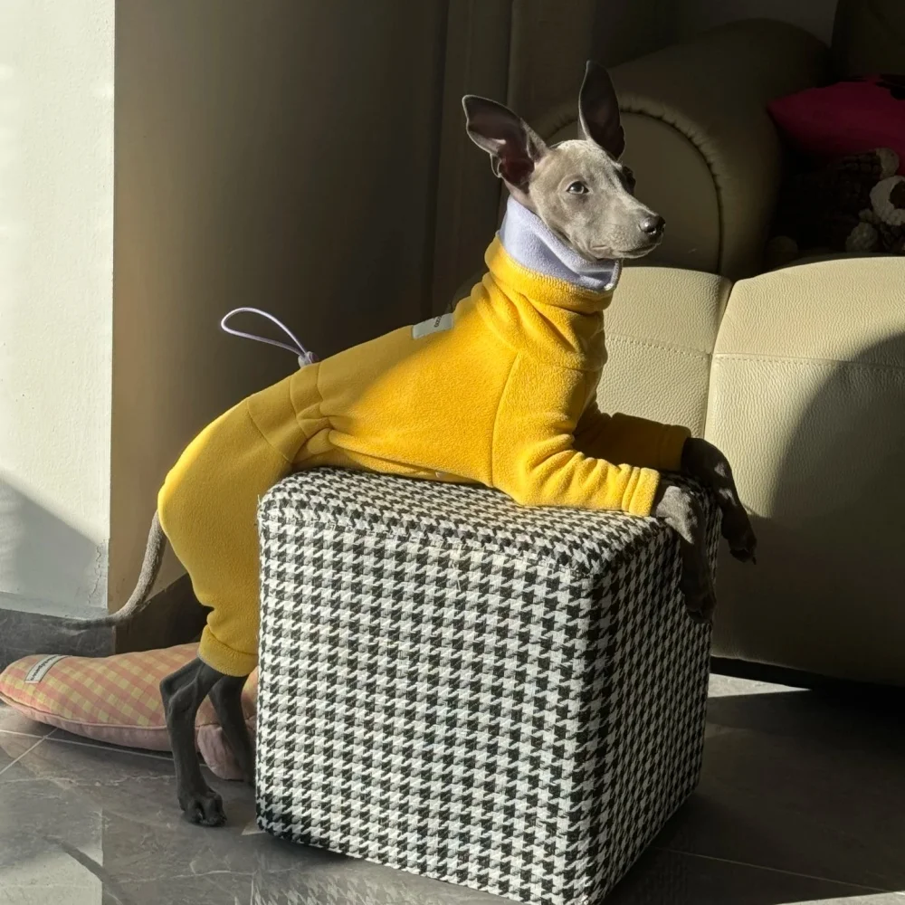 Jersey para whippet de forro polar