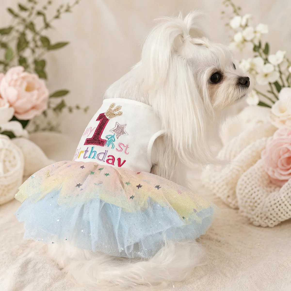 Vestido malla arcoíris con estrellas para gatos y perros – Ropa de fiesta y cumpleaños - imagen 2