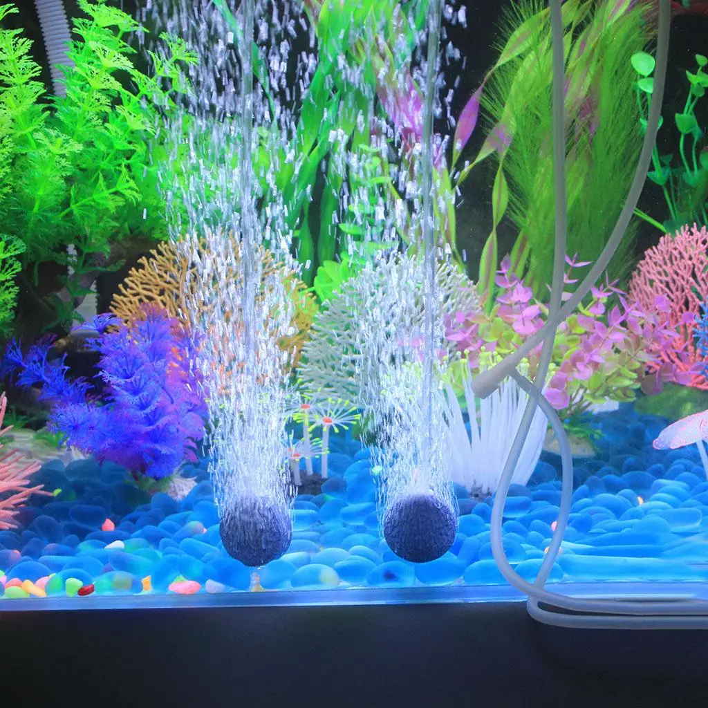 Bomba de aire funcionando en acuario