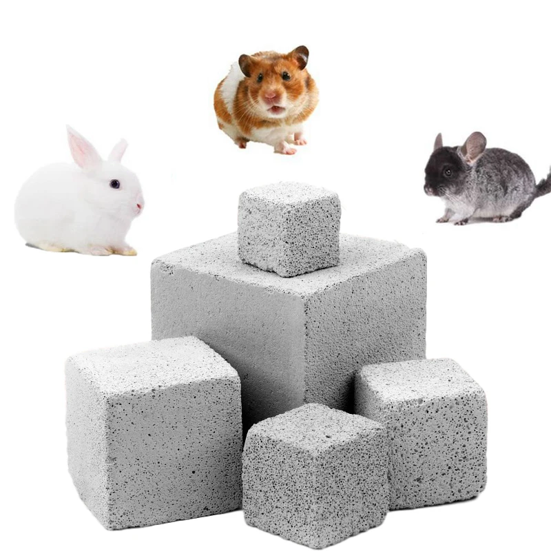 Piedra de molienda para conejillo de indias