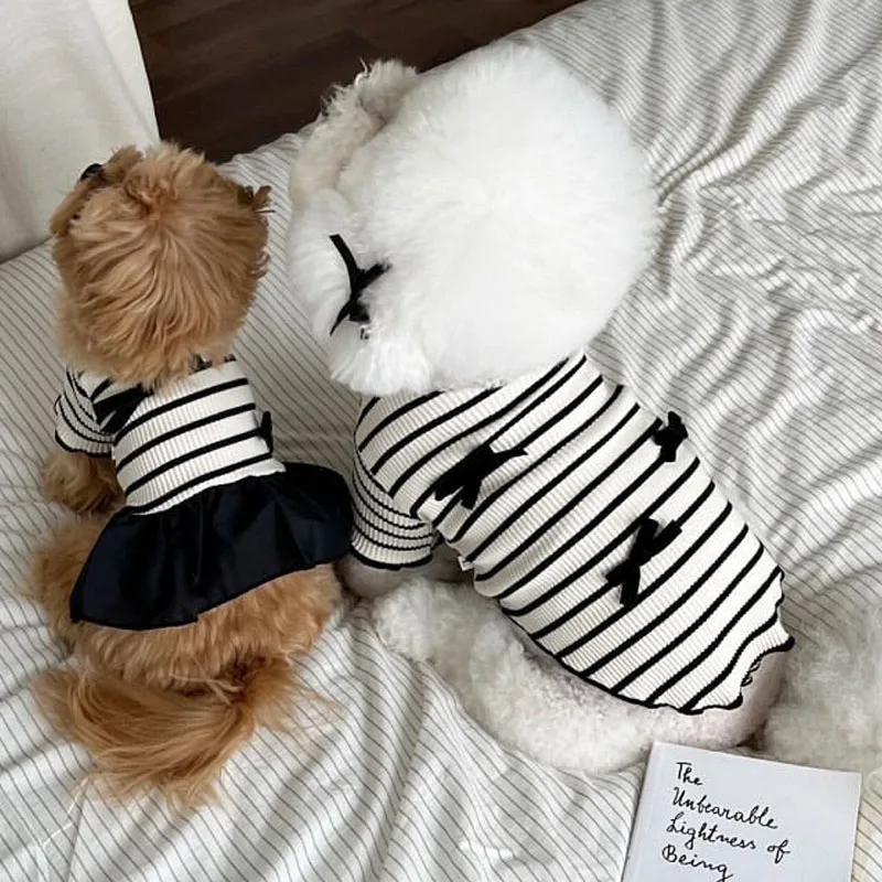 Sudadera con capucha para perros pequeños – Chihuahua y Poodle - imagen 2
