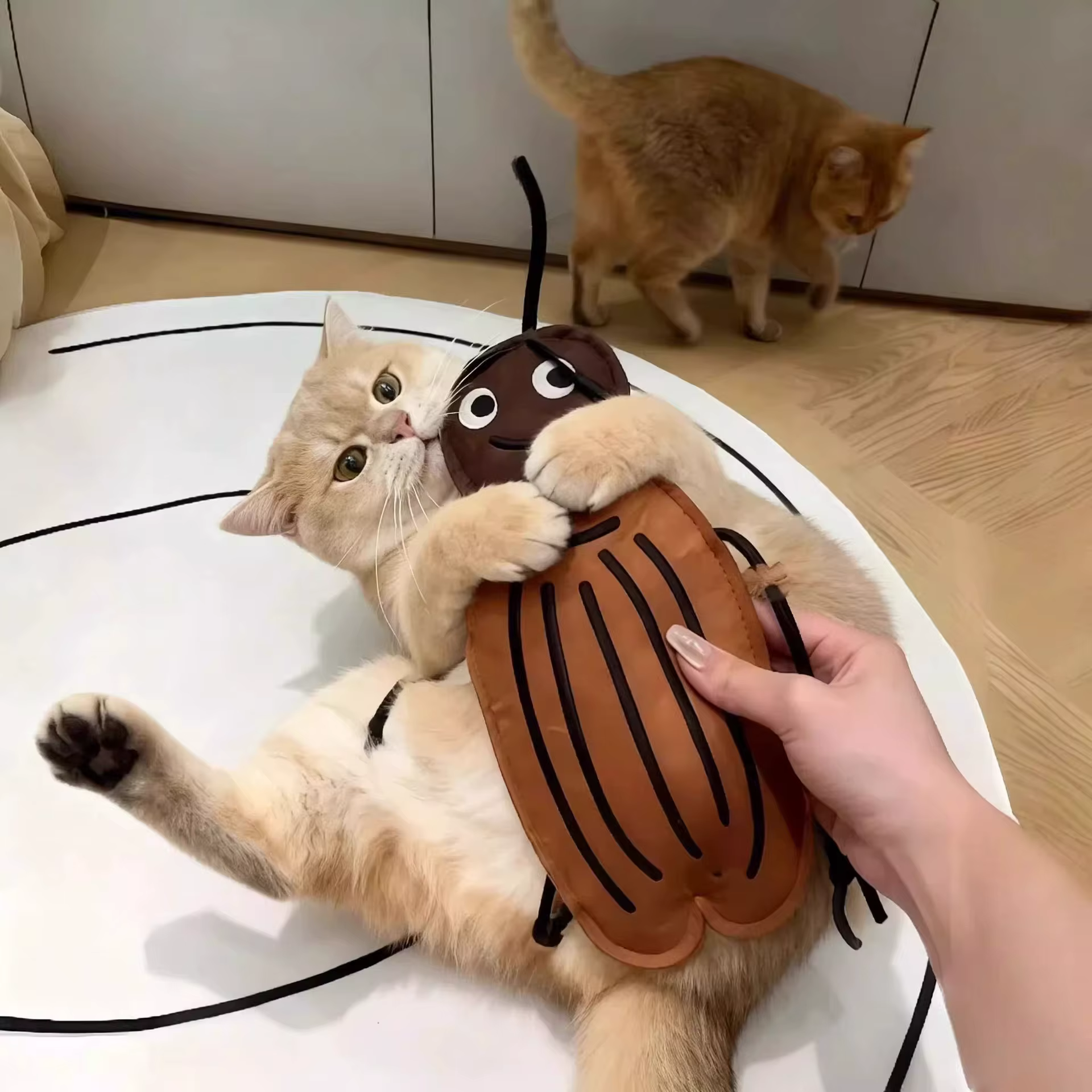 Juguete para gatos de fieltro con forma de cucaracha antimordidas - imagen 4