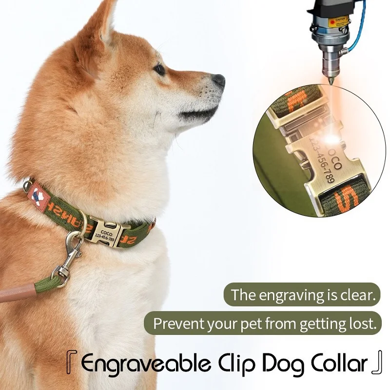 Collar Personalizado para Perro y Gato con Grabado de Nombre - imagen 3