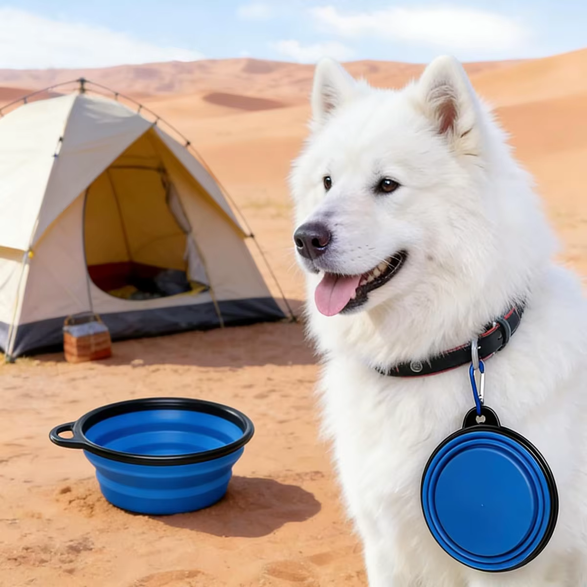 Tazón plegable para mascotas guardado en mochila