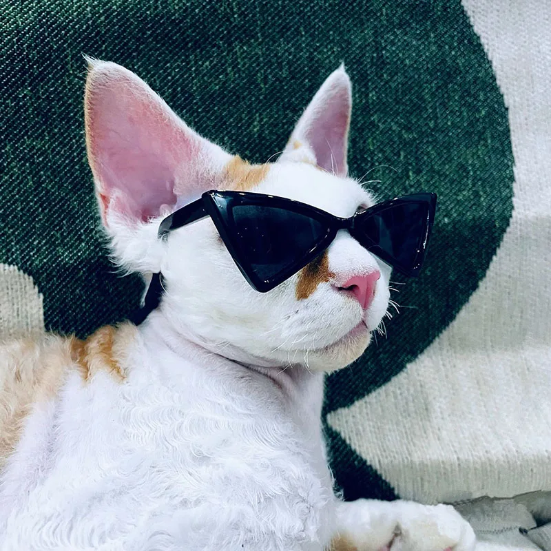 Sesión de foto en exteriores