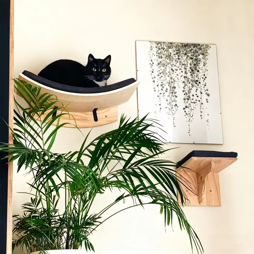 Torre de escalada y rascador para gatos madera con plataforma - imagen 5
