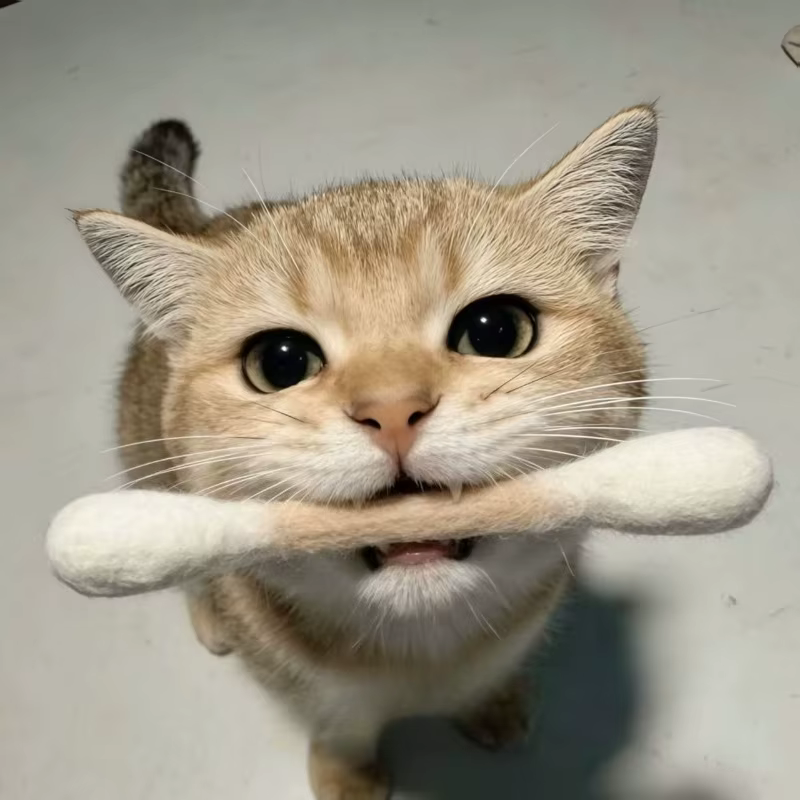 Juguete de palo de algodón para gatos – Mastica y cuida sus - imagen 2