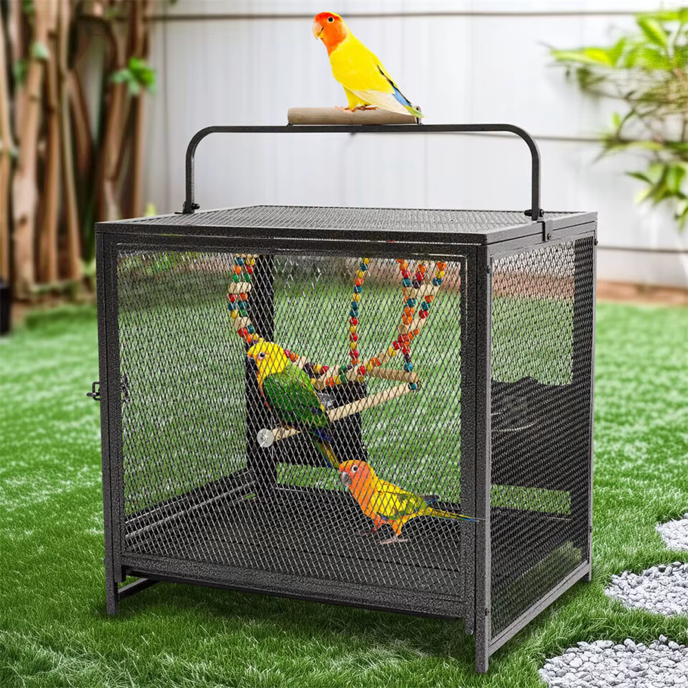 Jaula de Viaje para Aves – Hierro Forjado con Percha de Madera - imagen 3