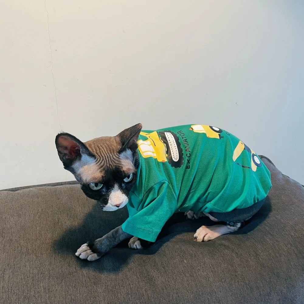Conjunto de prendas para gatos