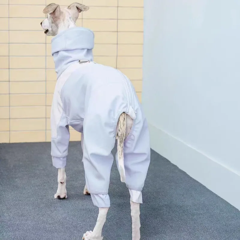 Perro usando el abrigo en posición