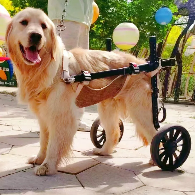 Silla de ruedas para perros medianos y grandes, carrito movilidad