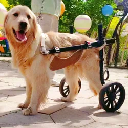 Silla de ruedas para perros medianos y grandes, carrito movilidad