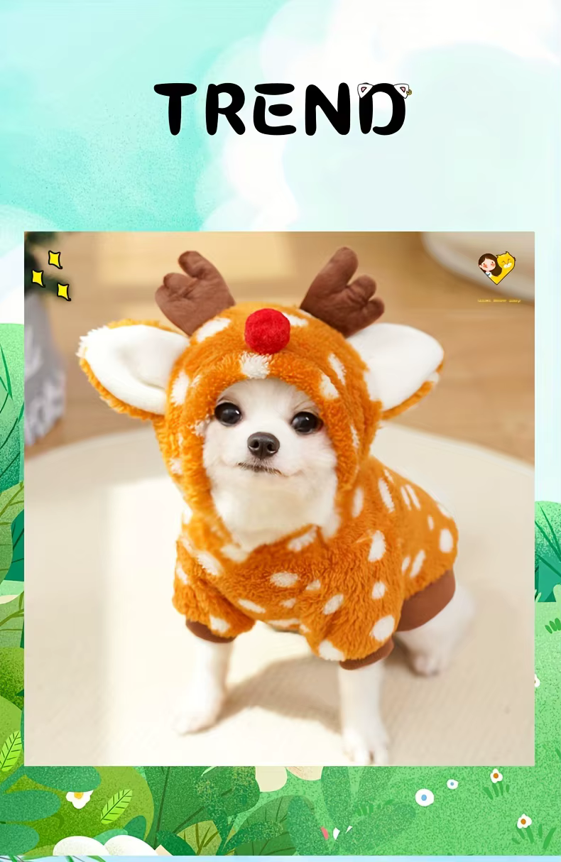 Mascota wearing the costume front view