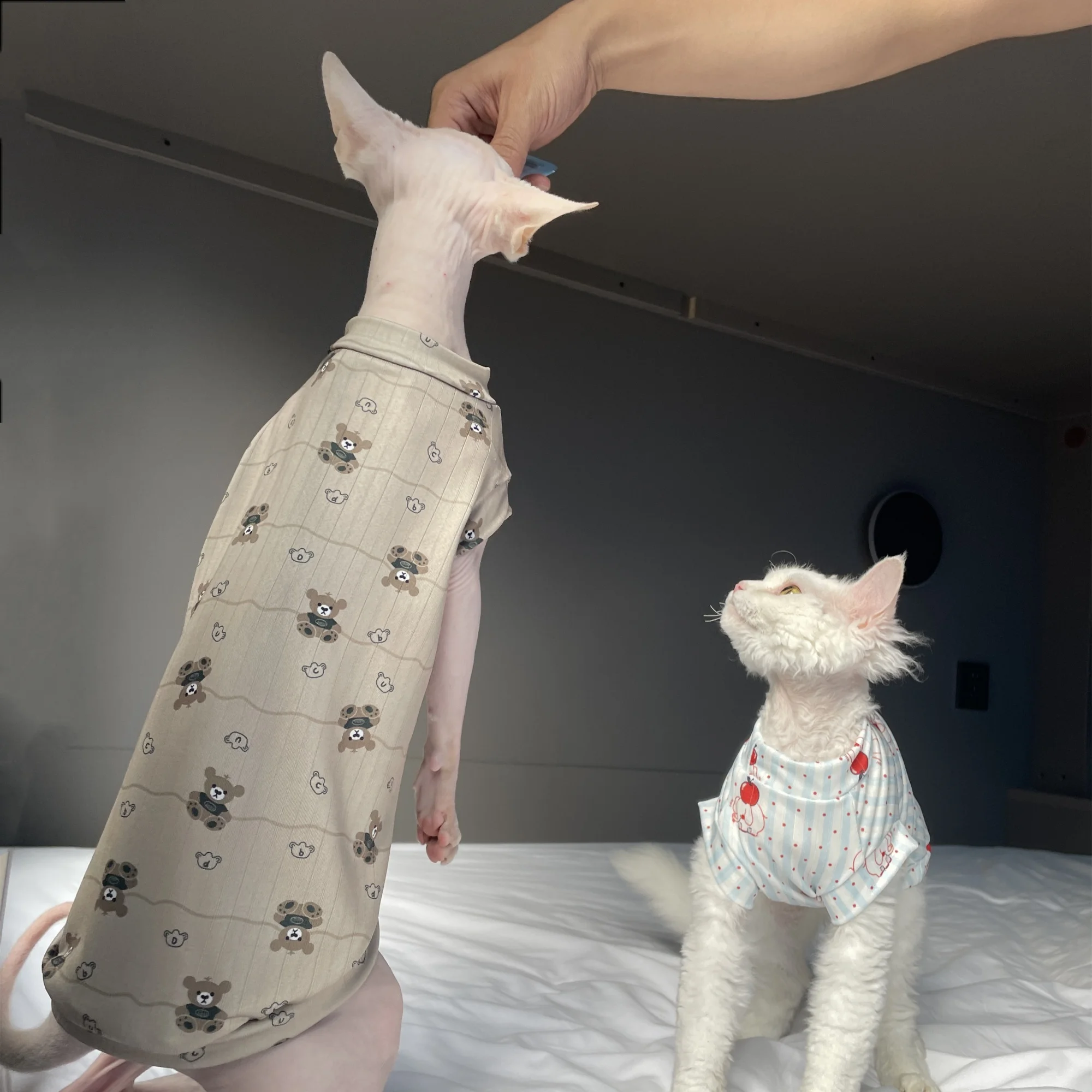 Camiseta transpirable de verano para gatos Sphynx y Devon Rex - imagen 3