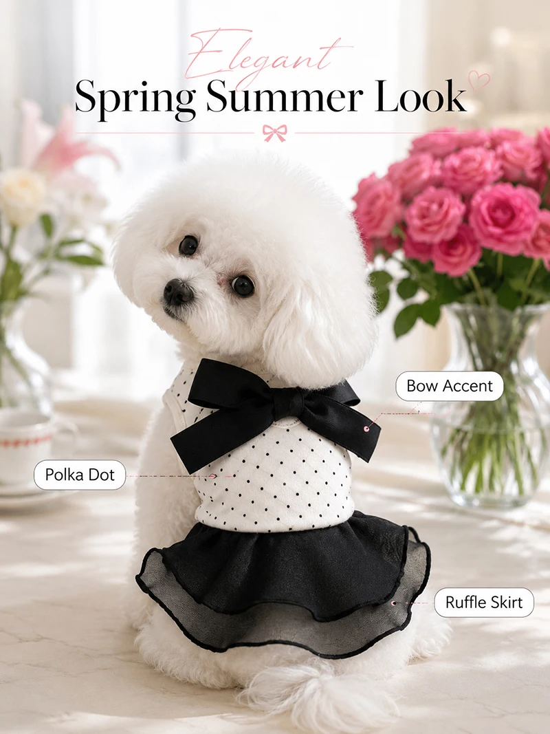Vista del vestido completo en mascota pequeña