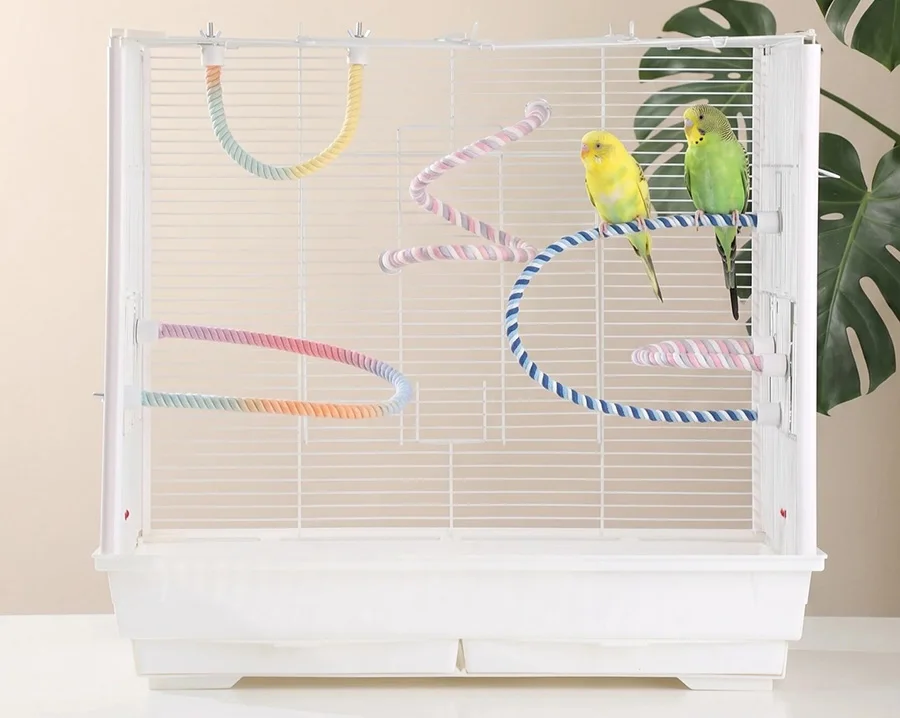 Juguete de cuerda colorido para aves Pawstrip