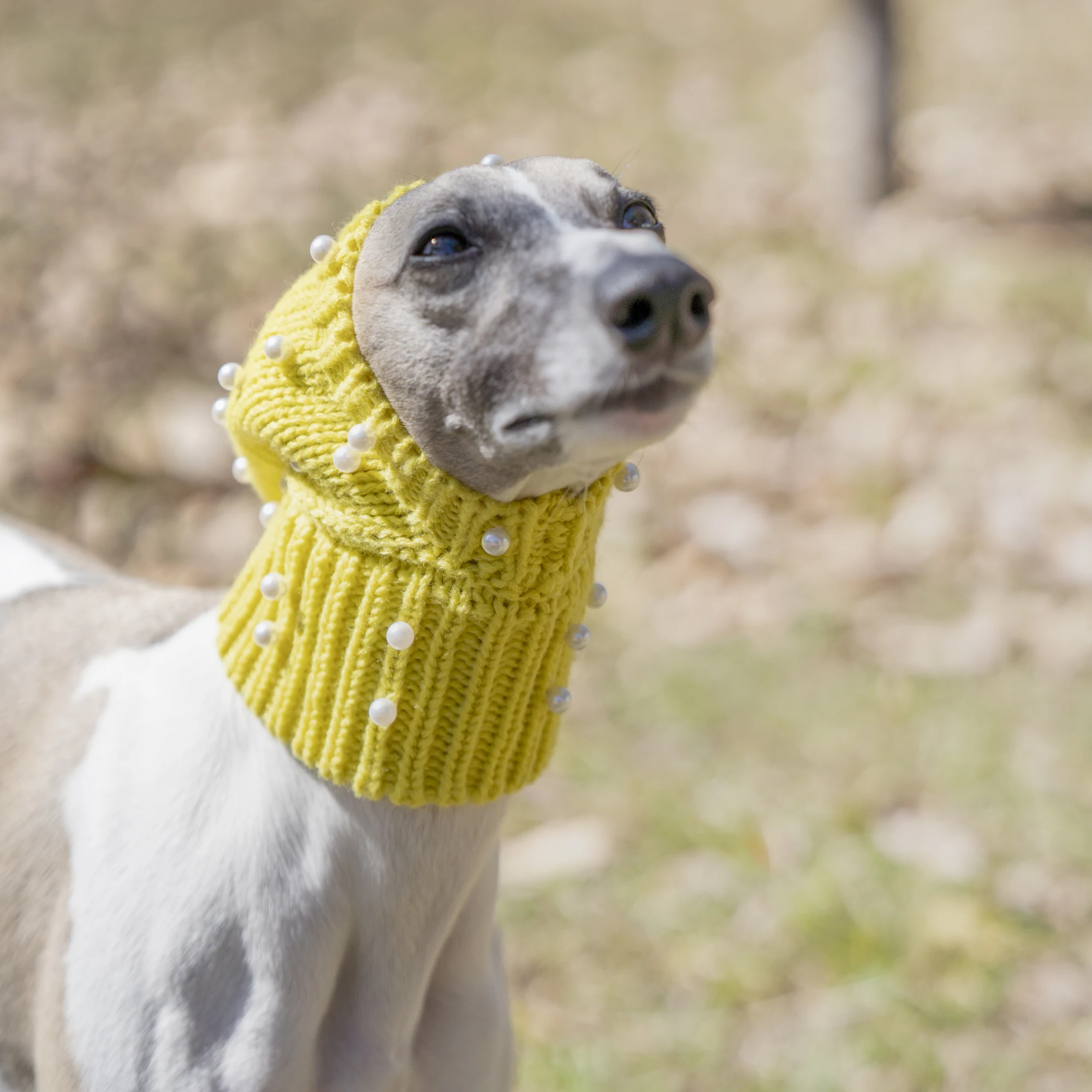 Gorro para galgo grande