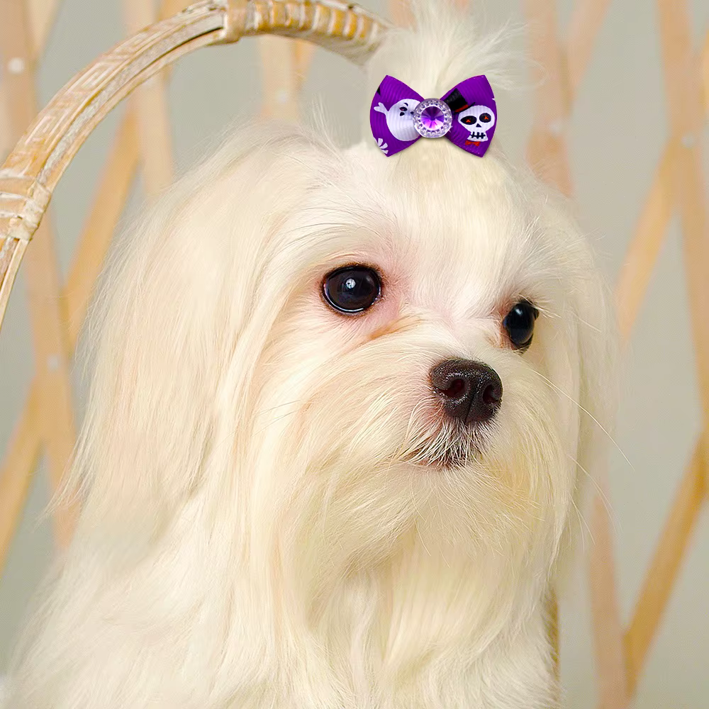 Lazos para el pelo de perro con bandas elásticas – accesorios Halloween - imagen 2
