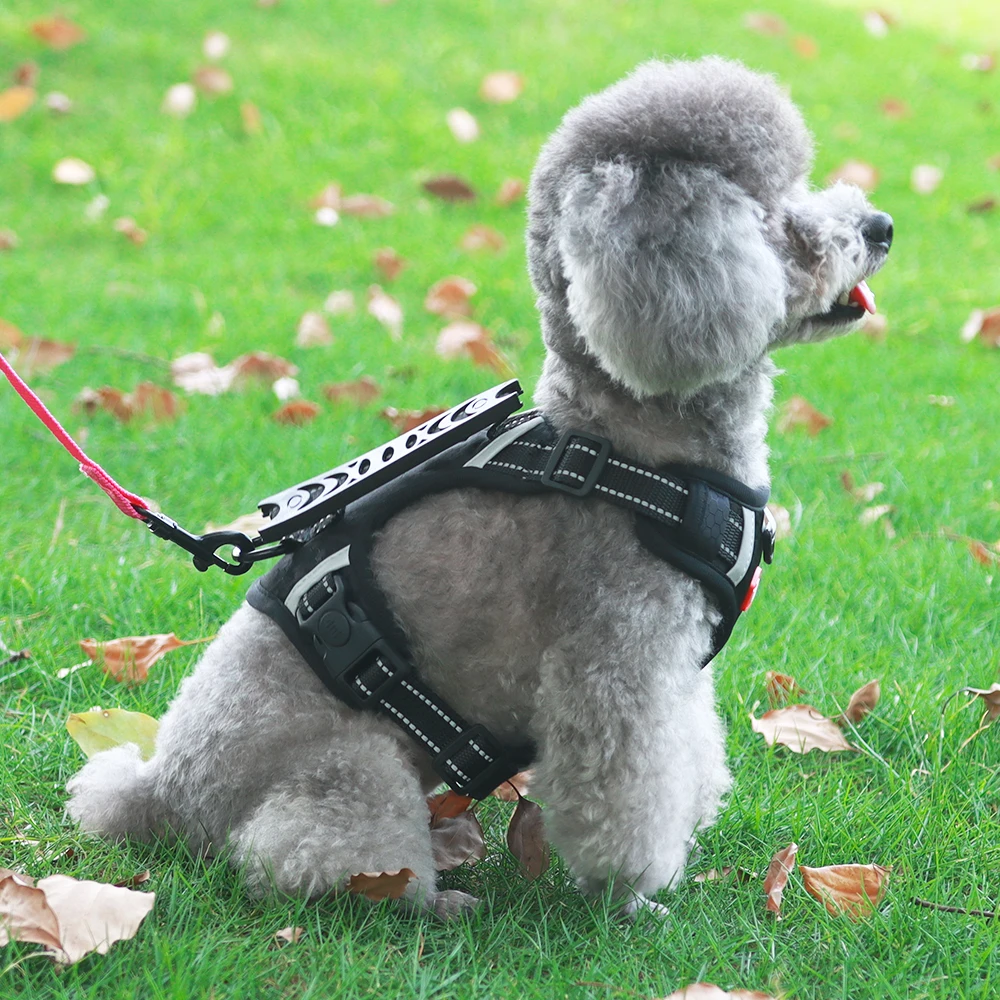Arnés reflectante para perros ajustable con asa anti-pérdida AirTag - imagen 3