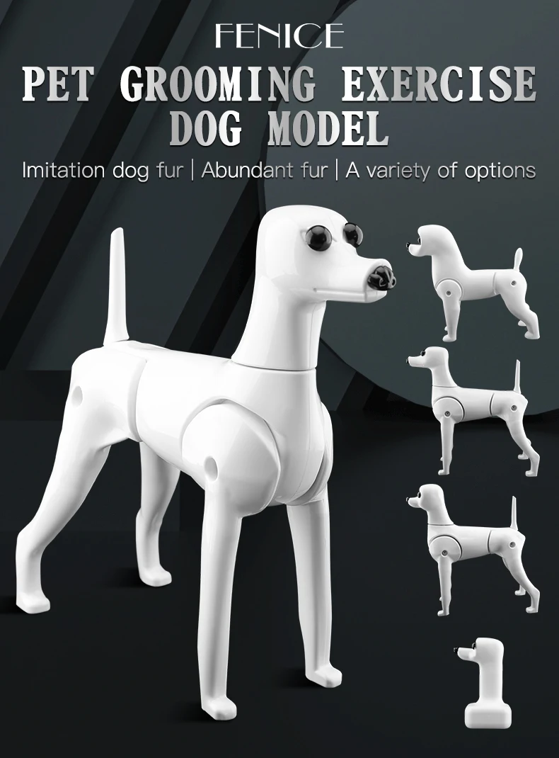 Modelo de perro de práctica en posición lateral