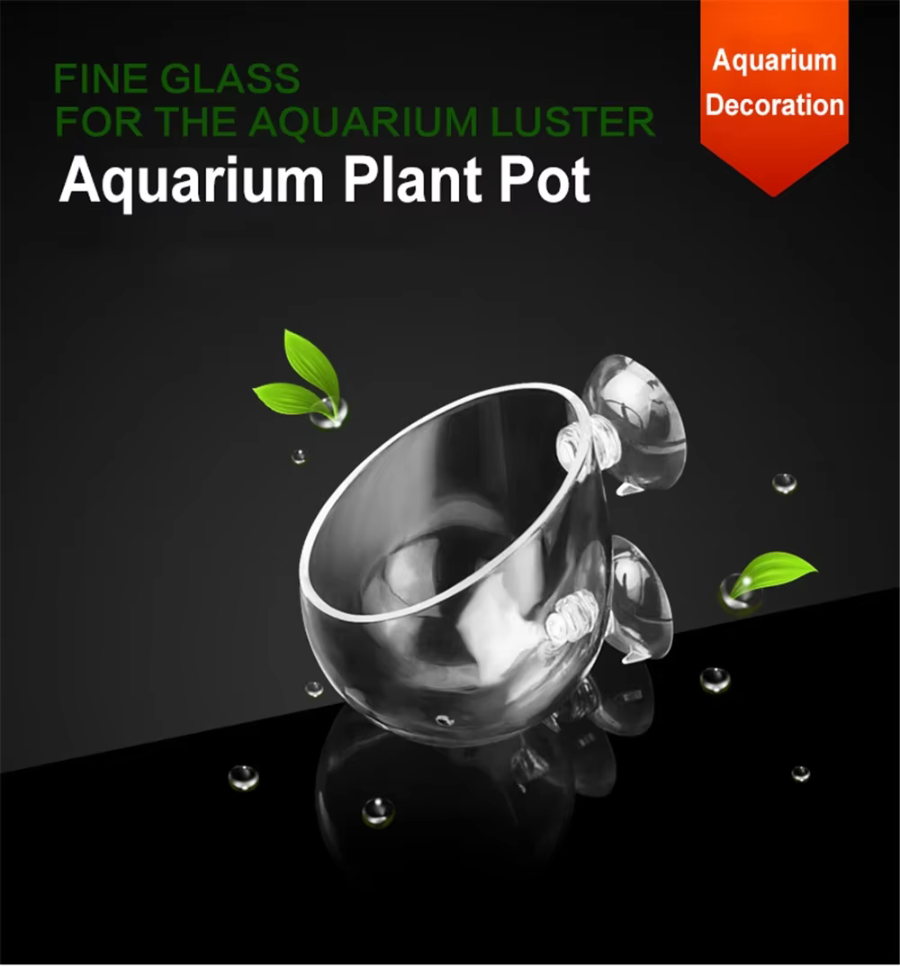 Cilindro de vidrio transparente con ventosas para acuario
