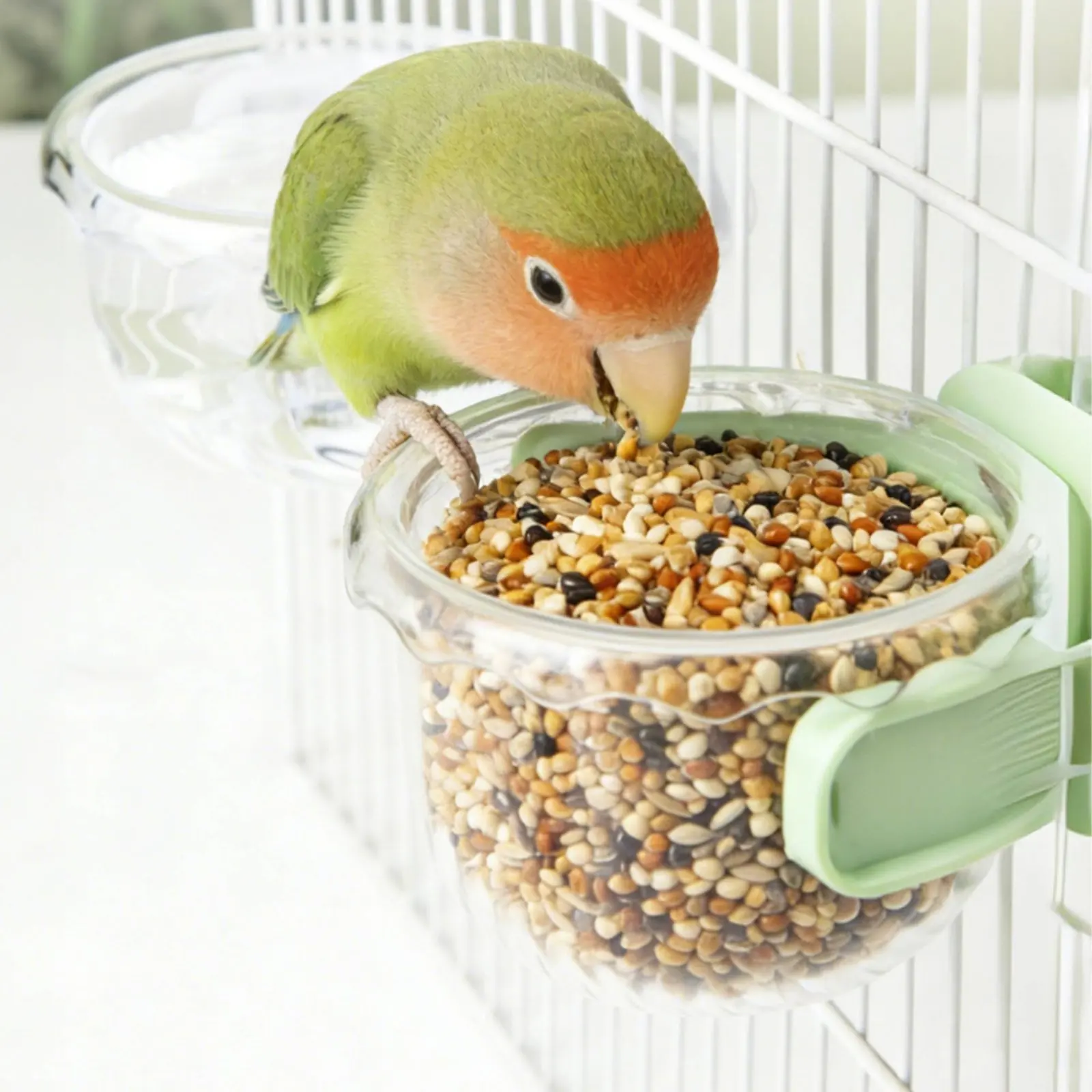 Comedero para loros con gancho estable, plato comida y agua - imagen 3