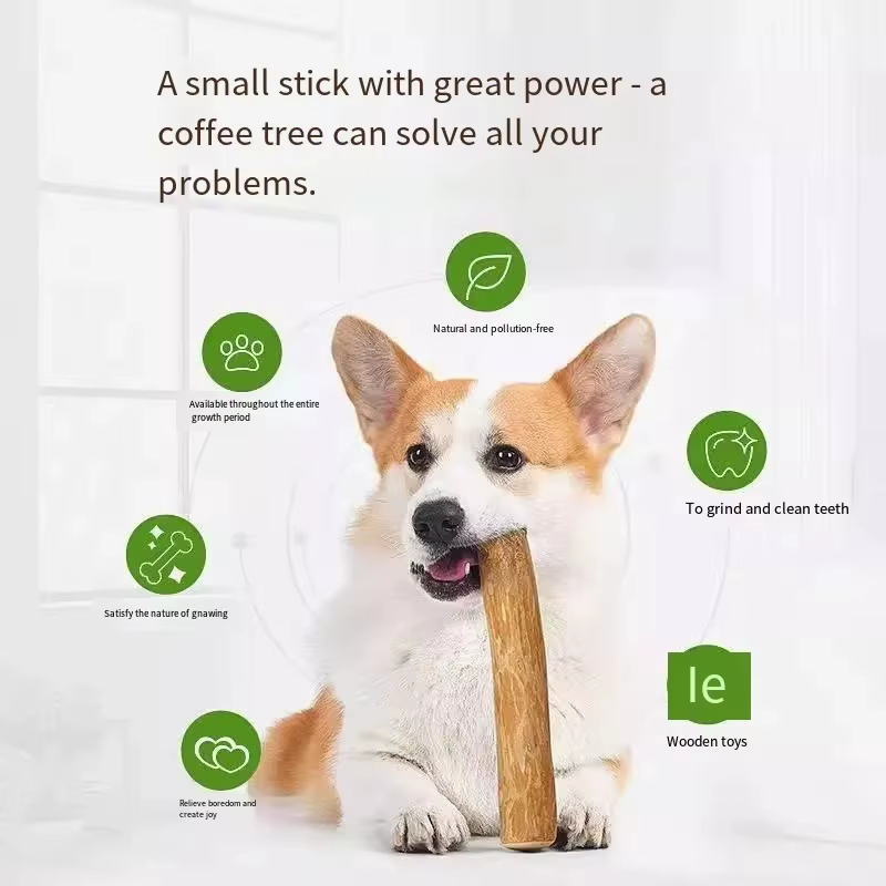 Juguete masticable de madera de café para perros - imagen 5