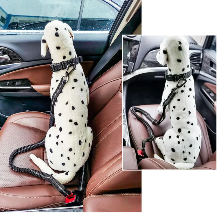 Correa elástica reflectante para perro, para paseo y coche - imagen 2
