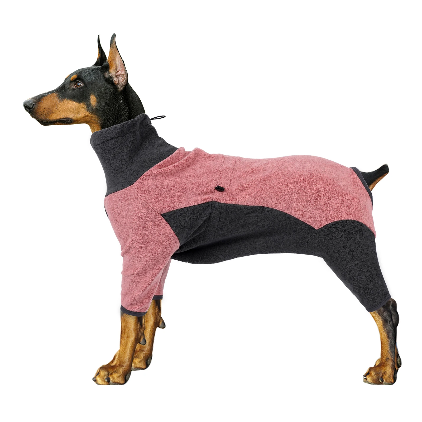 Cachorro con abrigo