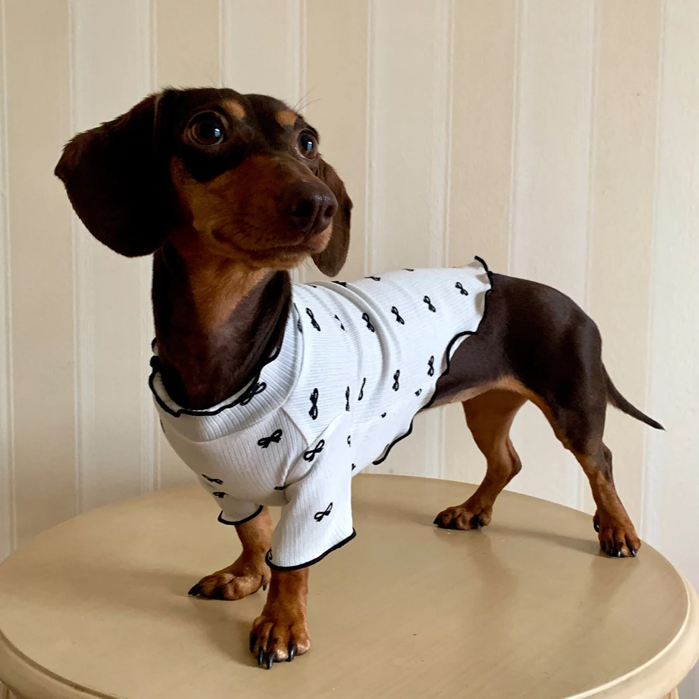 Camiseta verano de algodón para perro salchicha – Dachshund - imagen 3