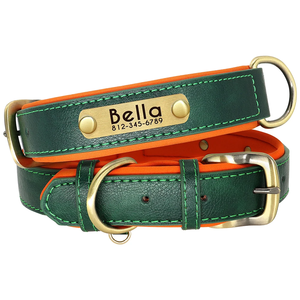 Collar Didog en uso