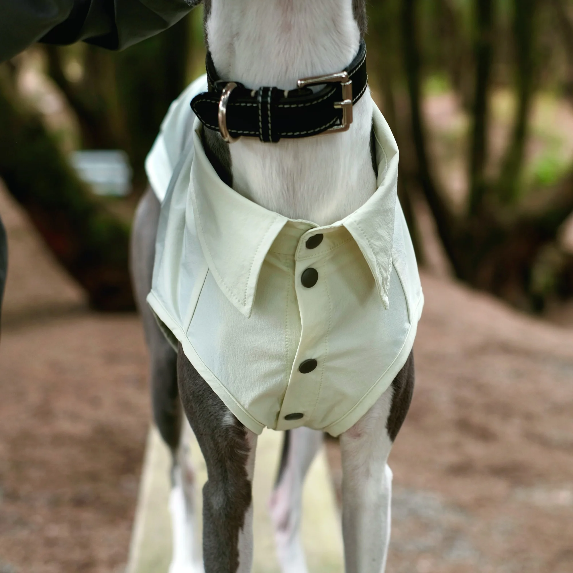 Camiseta solar UPF100 con botones para galgos italianos y whippets - imagen 2